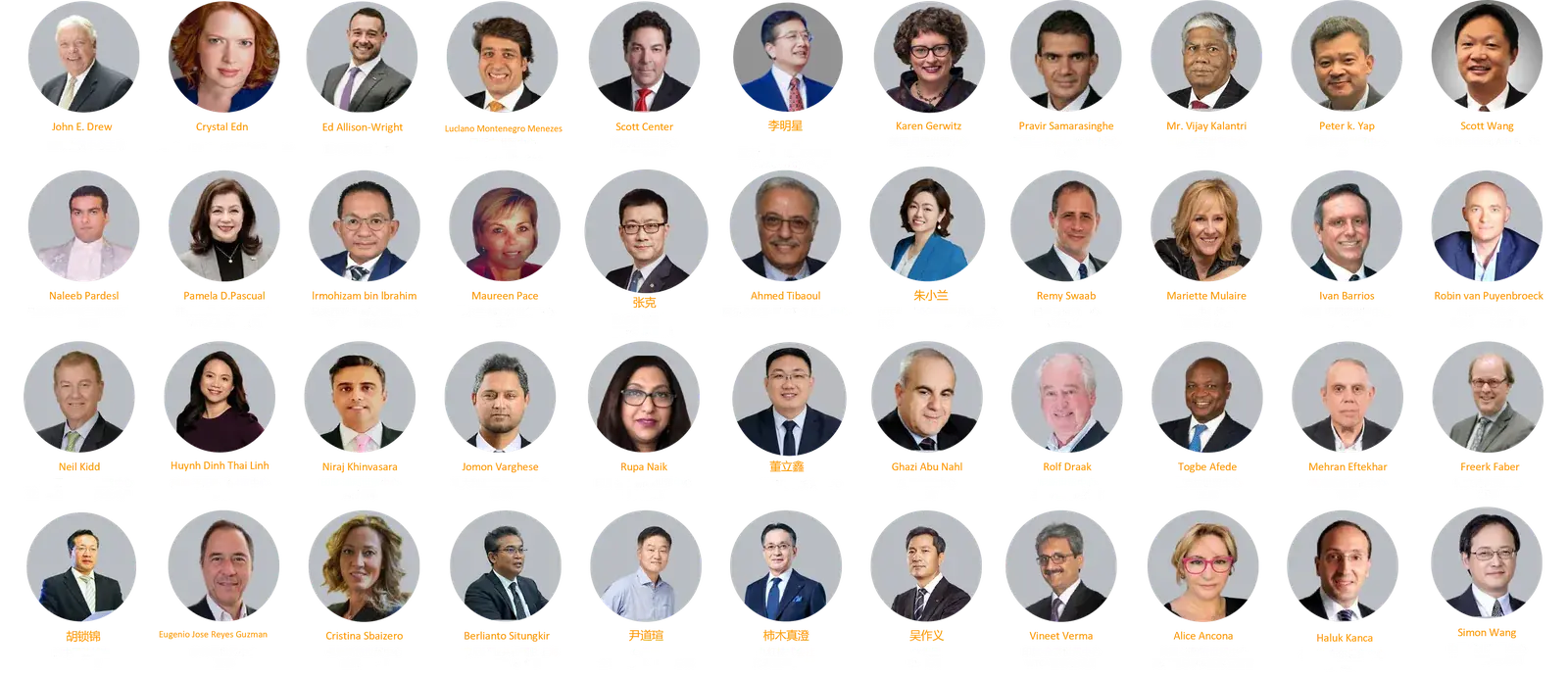 Governance Leaders